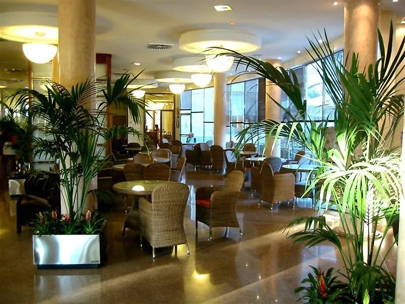 Europe Playa Marina - Adults Only Hotel Illetas 4*,  Spain
